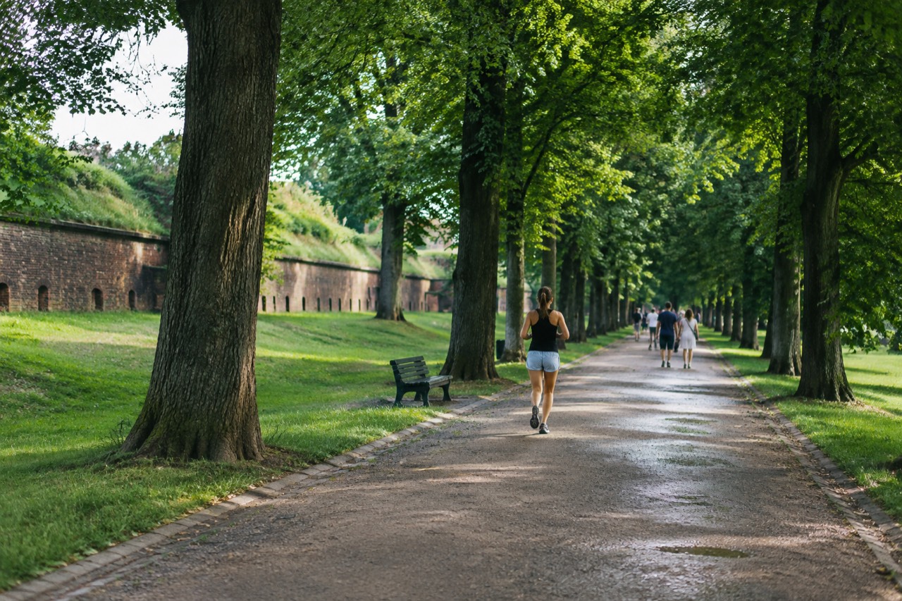 A wide green park avenue on a summer day with mature trees on both sides and people walking