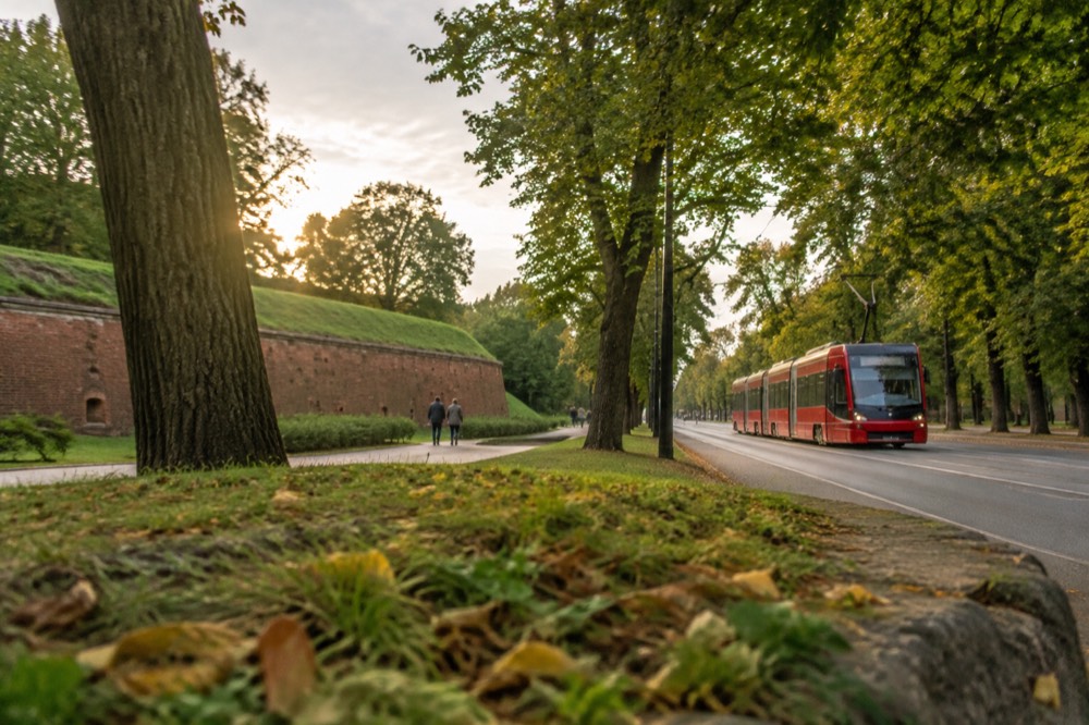 A red tram moving along a street lined with trees in Poznan