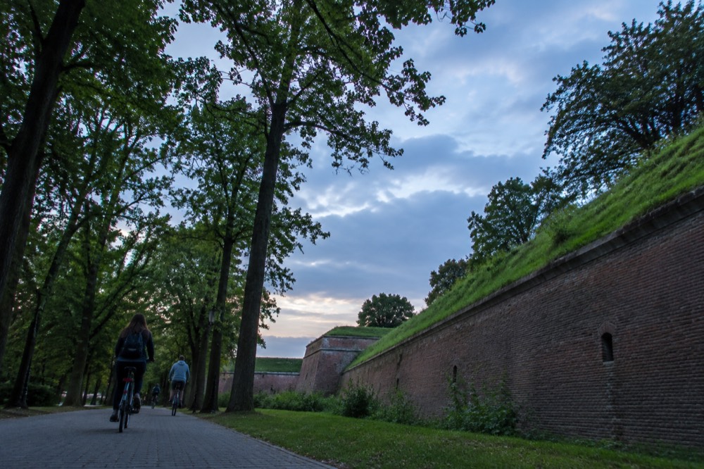 People cycling along a tree-lined path in a city park on a sunny afternoon
