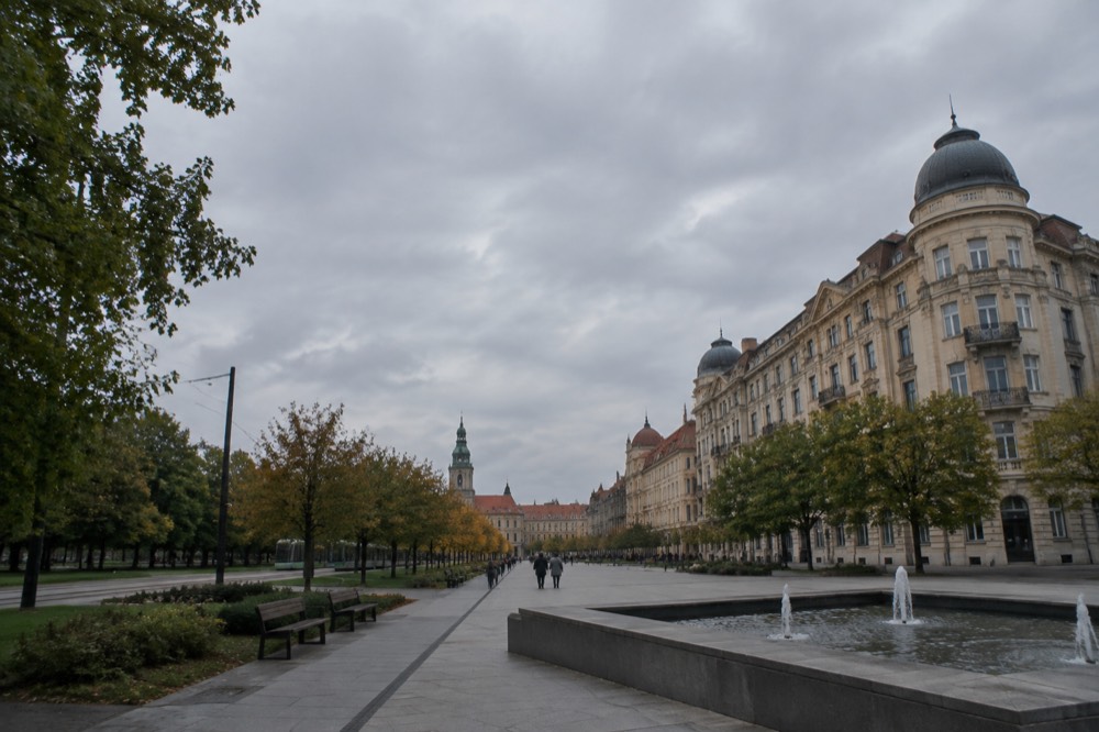 A large green park with tree-lined paths and park benches in Poznan