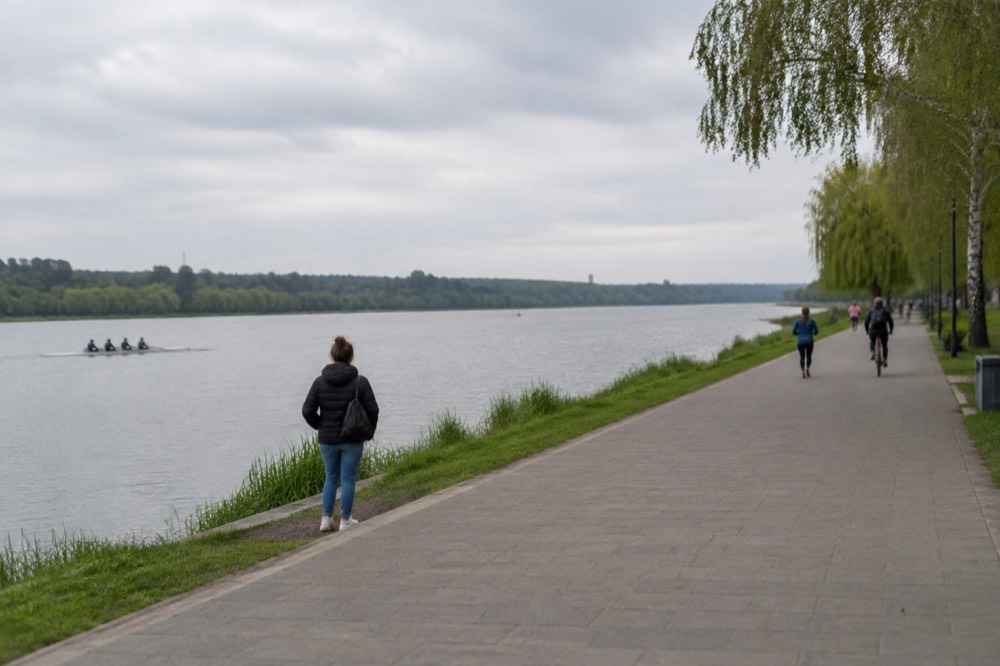 Visitors watching animals in a green zoological park with wide paths