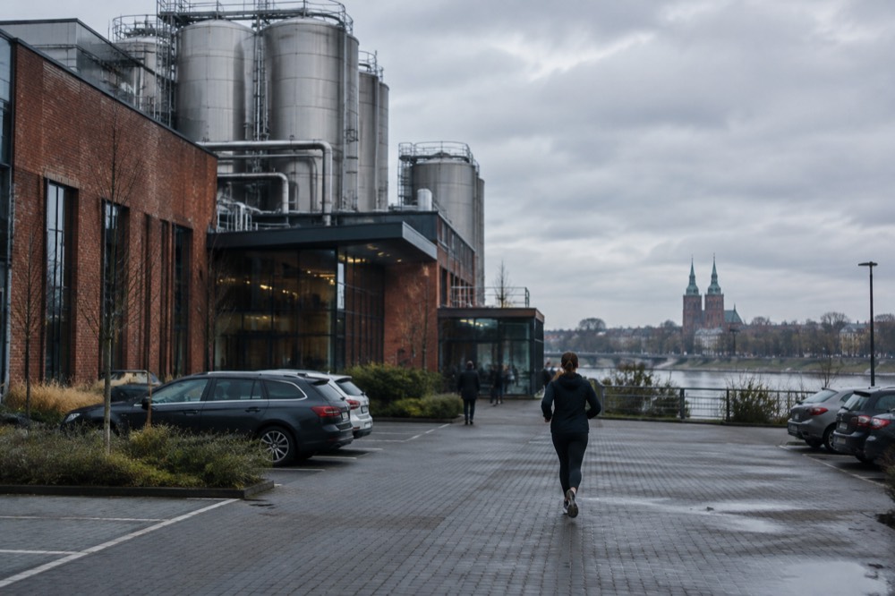 The twin towers of Poznan Cathedral seen across the river on Ostrow Tumski