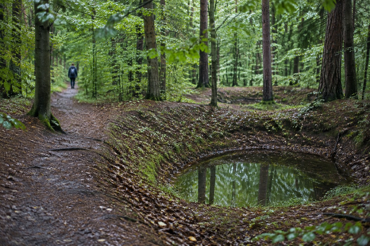 Forest path on a wooded hill in northern Poznan with small rounded depressions among the trees