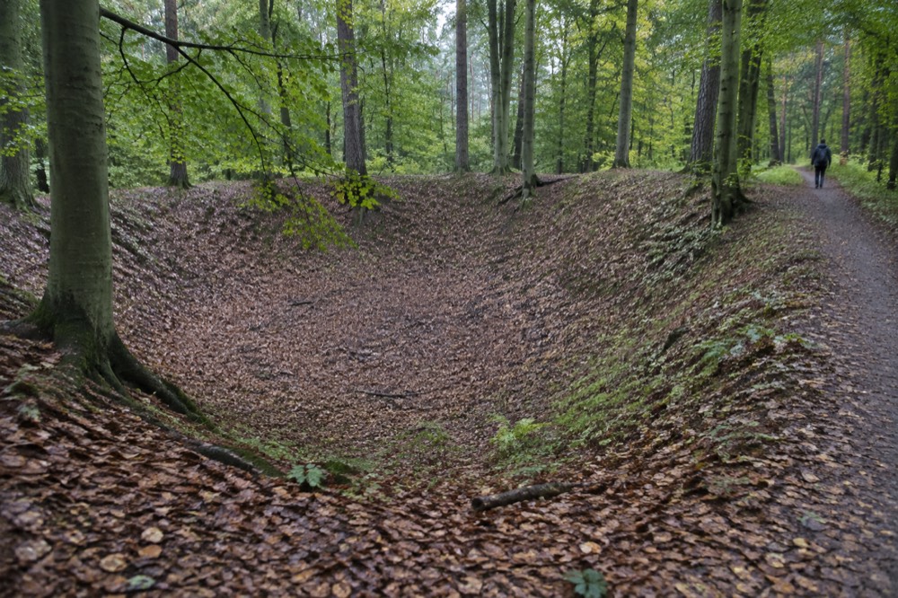 Rounded bowl shaped hollow in a beech forest floor partly covered with leaves