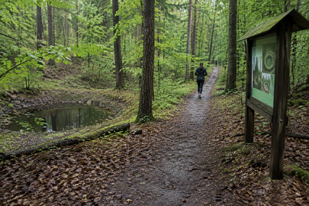 Information board beside a forest trail in a Polish nature reserve