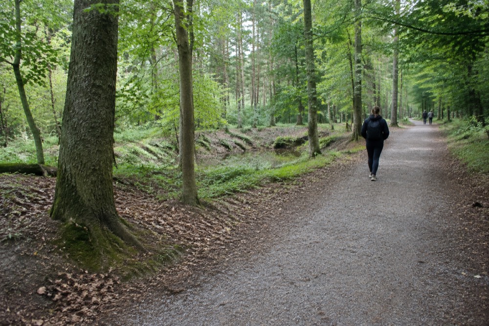 Wide gravel path through a large green city park with mature trees