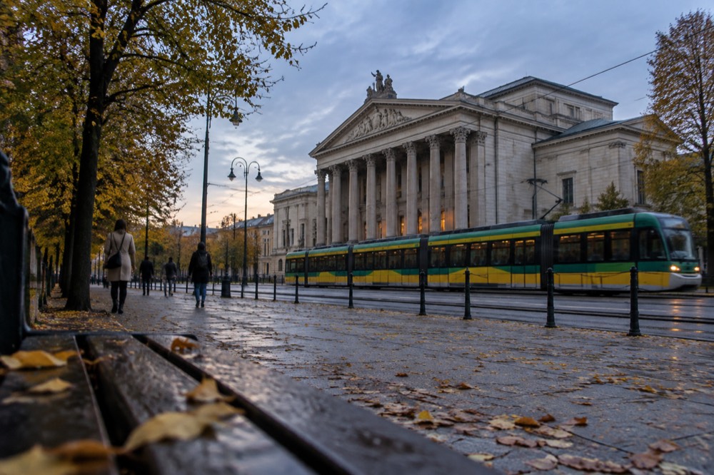A tree-lined city street in Poznan in late afternoon autumn light