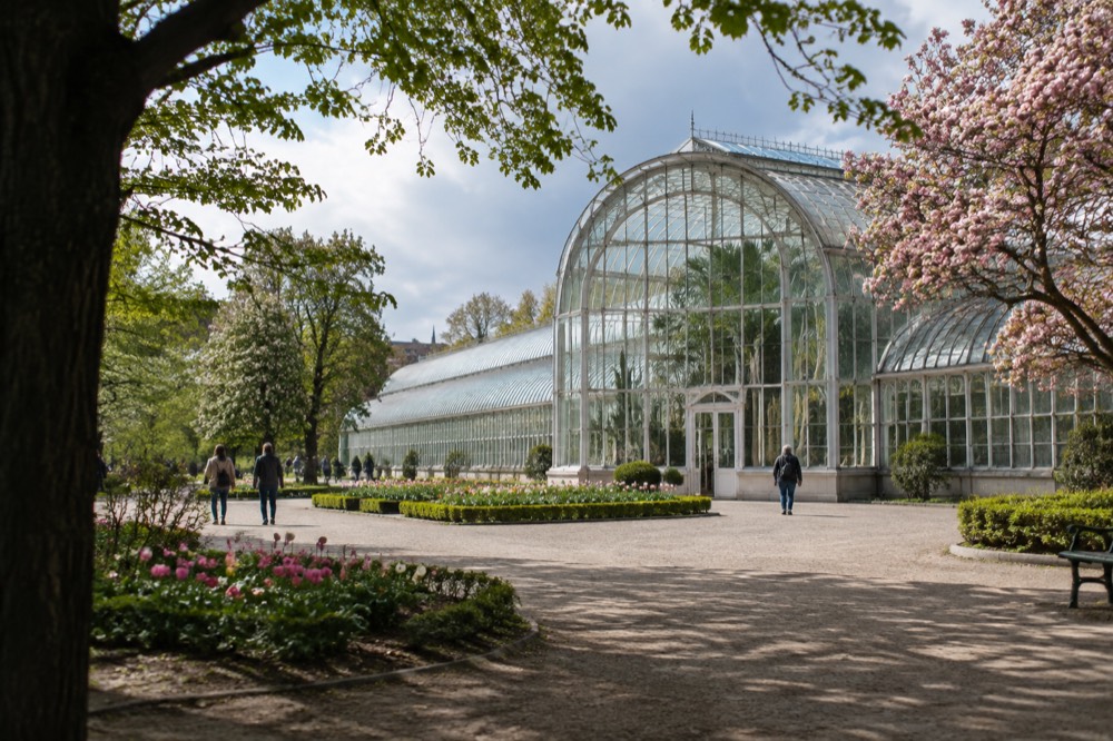 Flower beds and mature trees along a park path in late spring