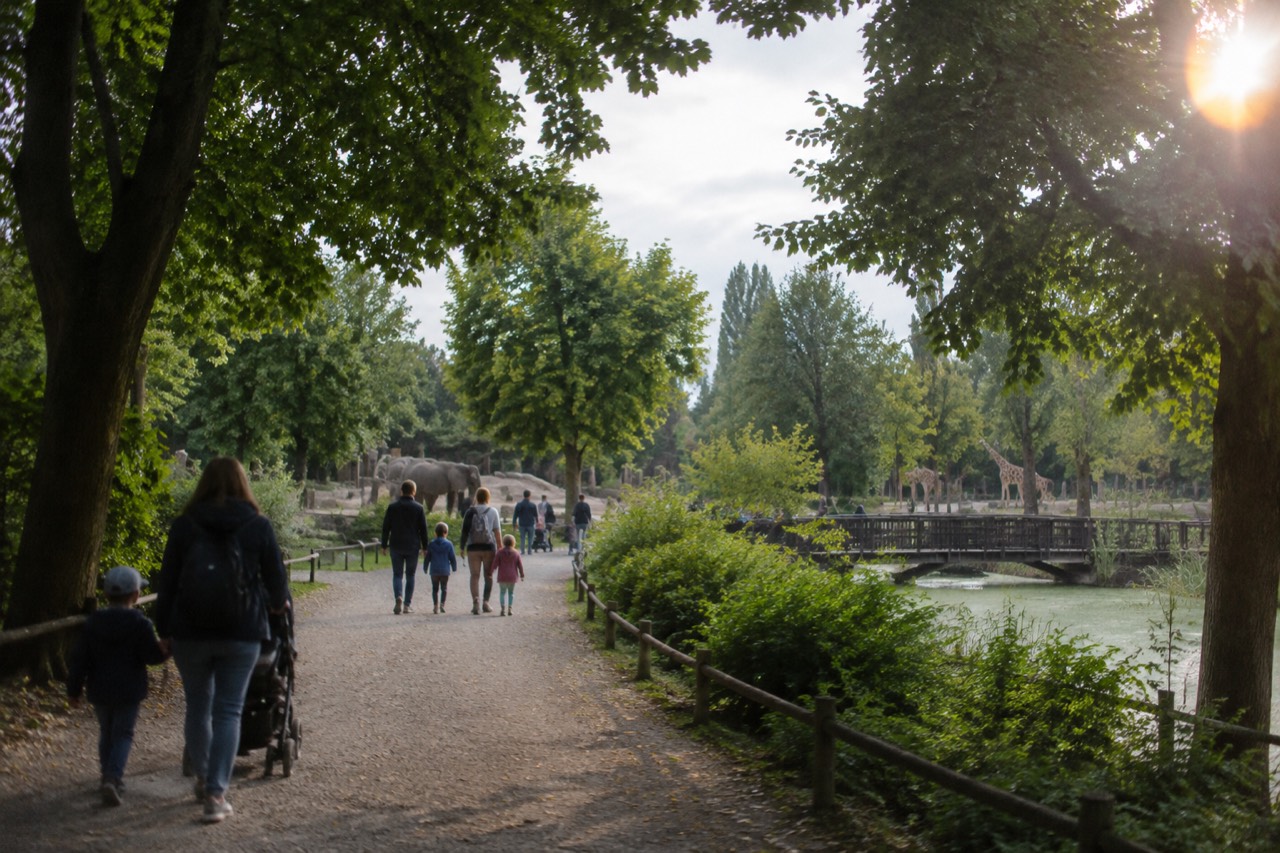 A wide tree-lined path through Poznan's New Zoo with visitors walking between green enclosures