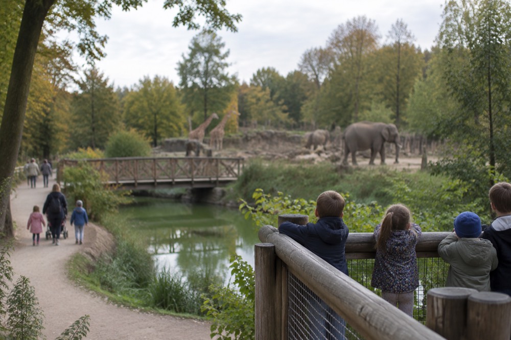 Children watching animals from a wooden viewing platform at the Poznan New Zoo