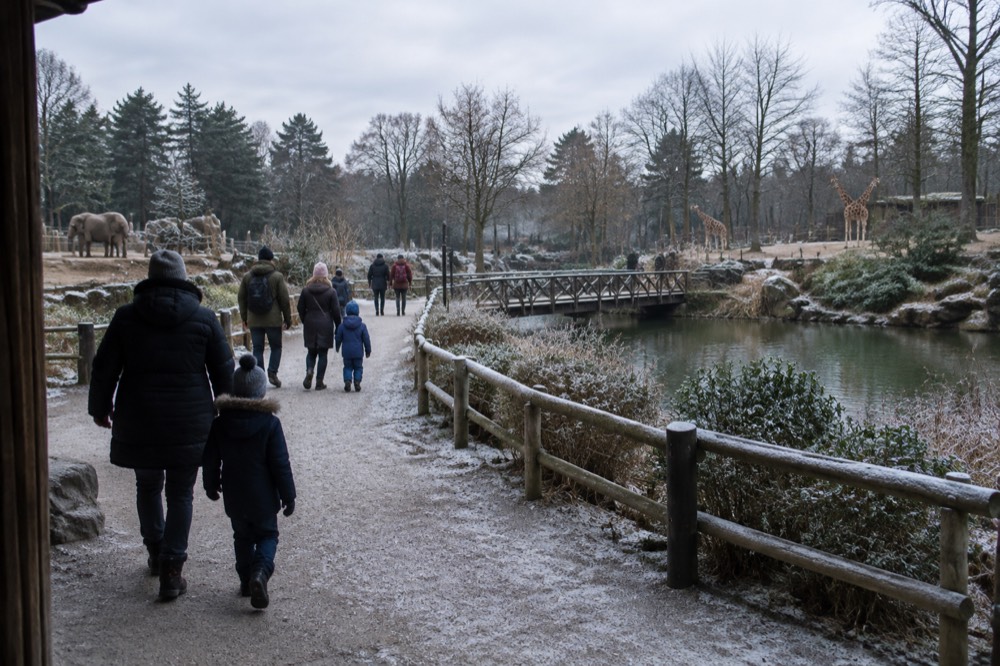 Visitors in winter coats walking a frosty path between enclosures at the Poznan New Zoo