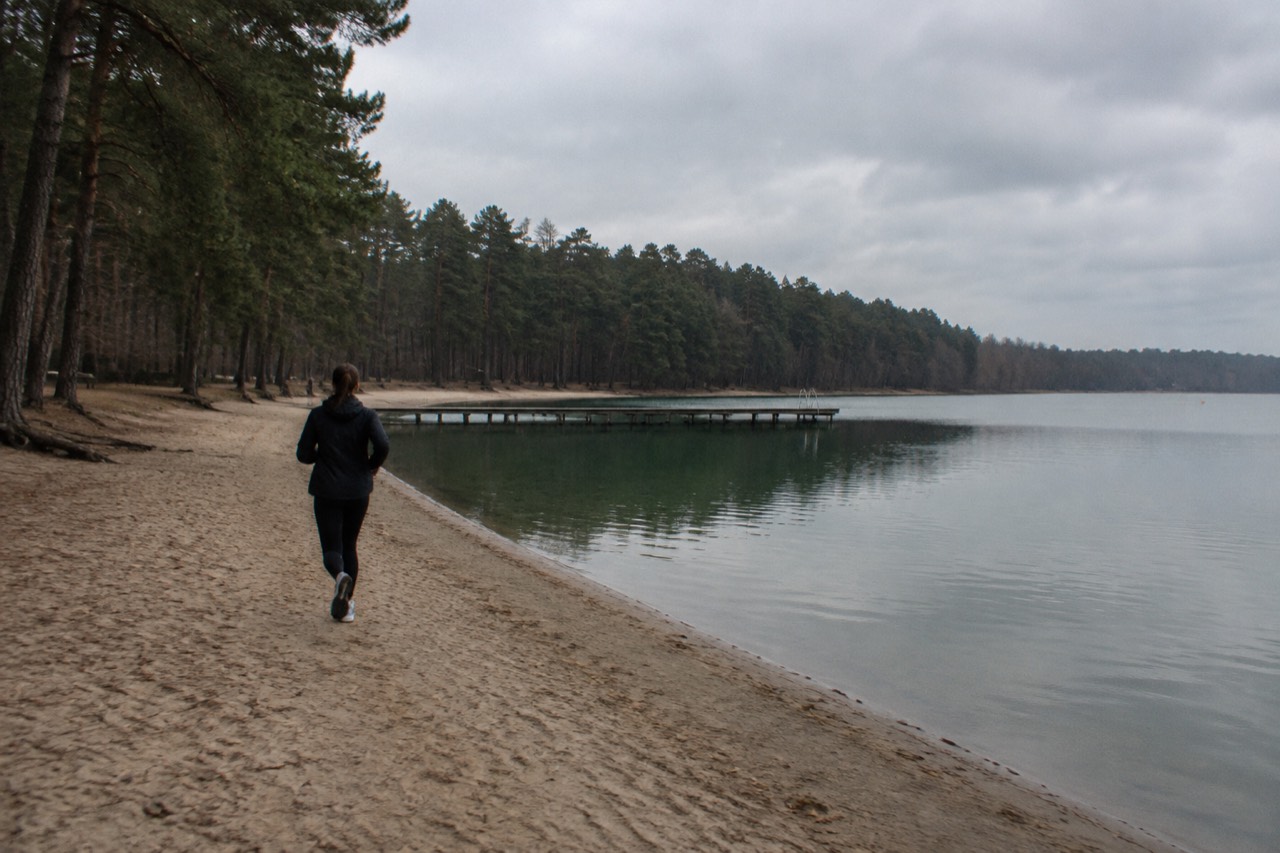 A calm lake surrounded by trees on the shore in Poznan