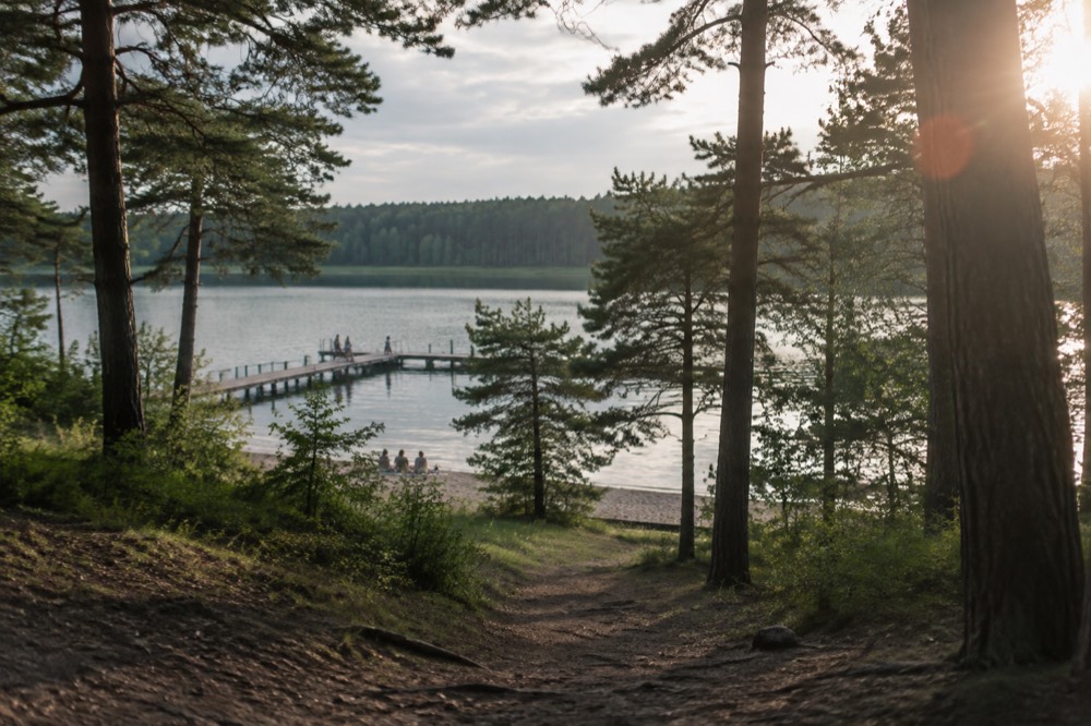 A forest path leading down toward the water at a lake in Poznan