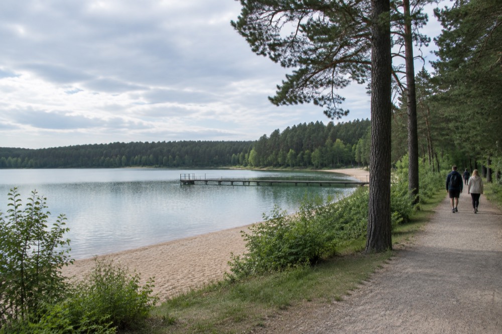 People walking a gravel path along a lakeshore under tall trees