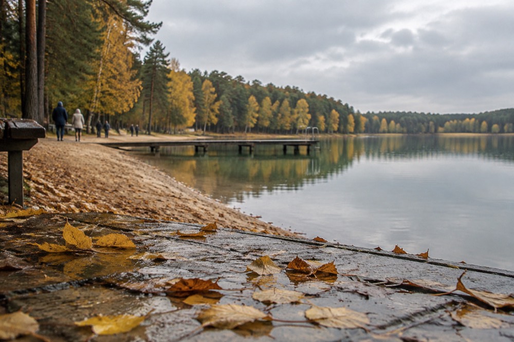 Autumn trees with yellow leaves reflected in still lake water