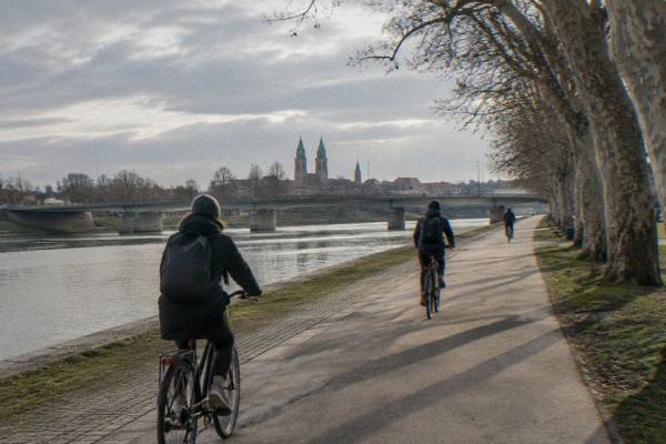 3-Hour Bike Tour, Local Guide, Poznan