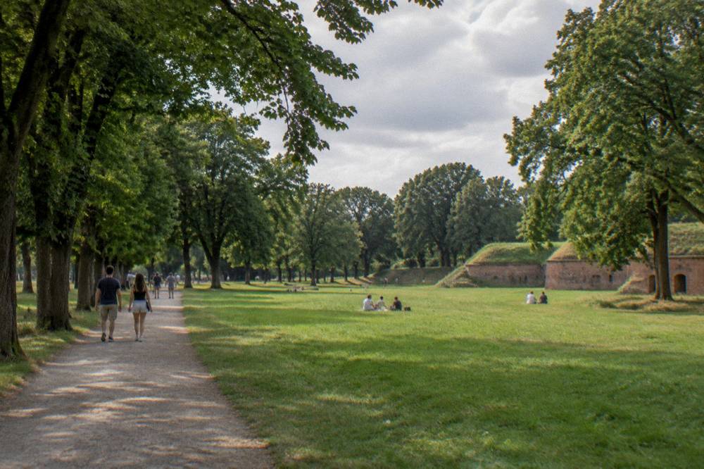 A summer afternoon walk in Citadel Park, Poznan