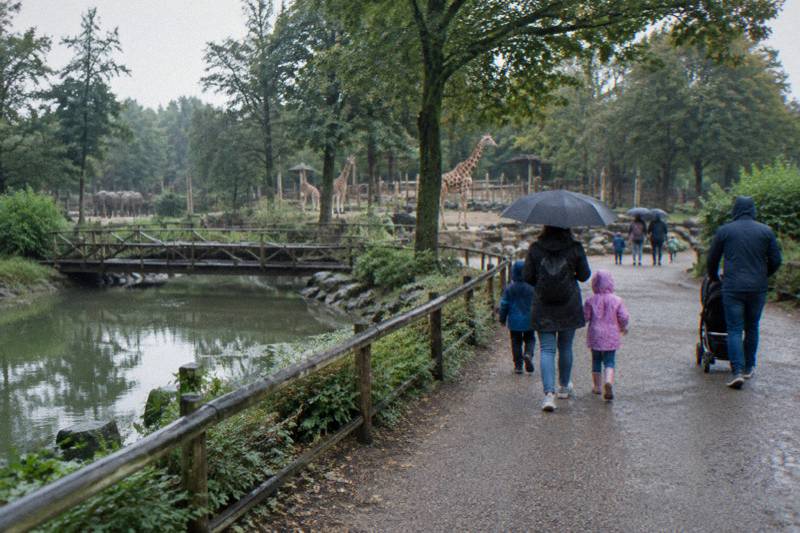 A shady path and pond at the New Zoo in Poznan